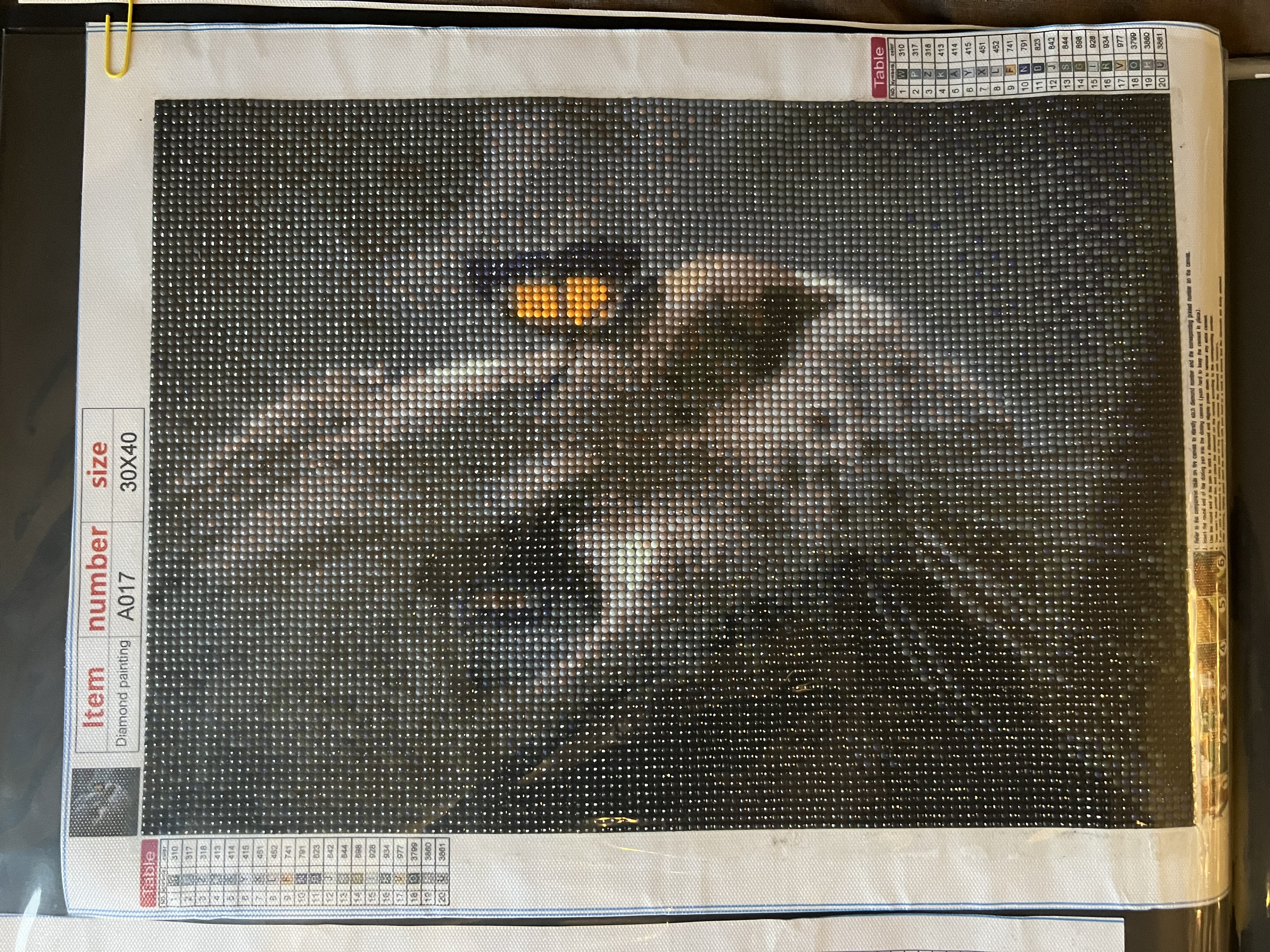 VCatVlinder